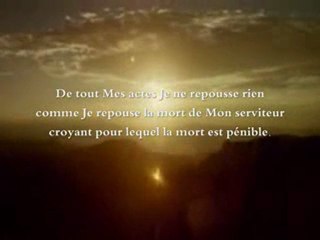 Allah Taala dit: "Quiconque est hostile à l'égard d'un de mes élus...Je lui déclare la guerre!"