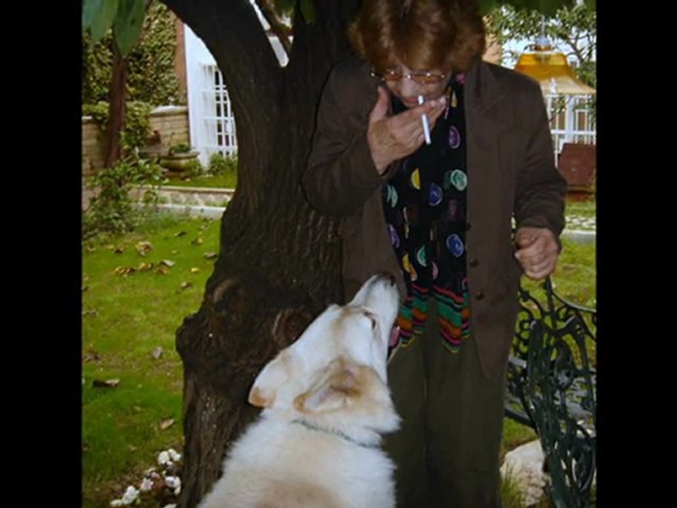 İNAN SENİ BULAMADIM