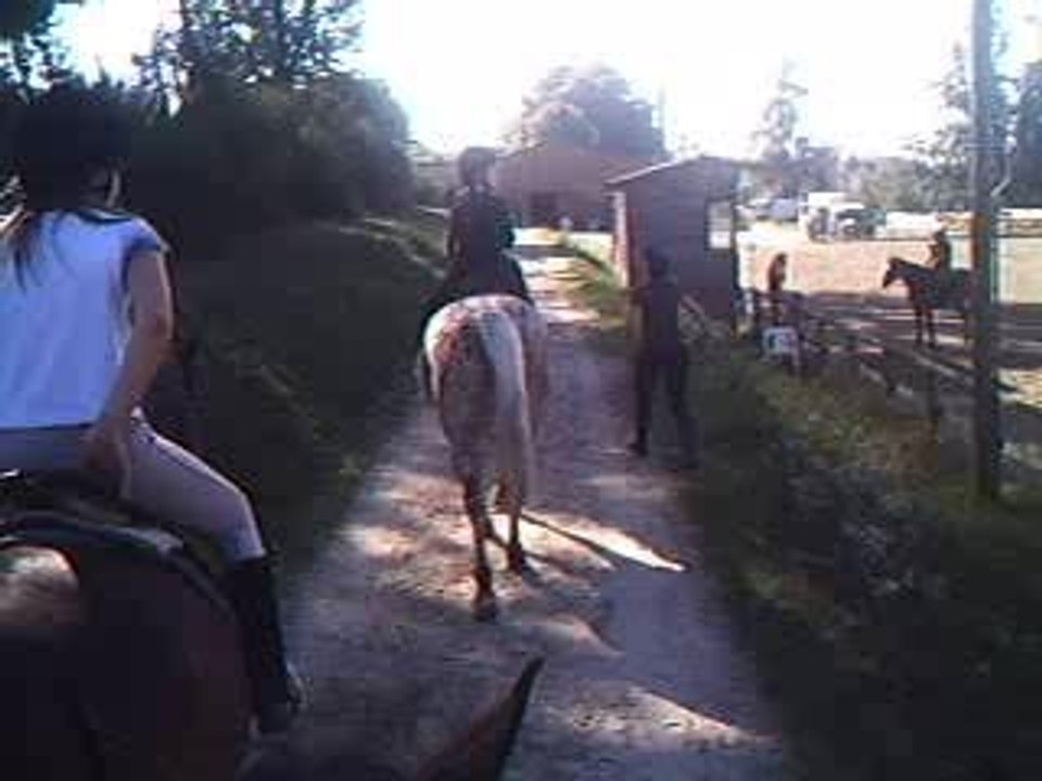 Film à cheval