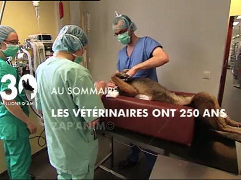 SOMMAIRE 30 MILLIONS D'AMIS 25 SEPT