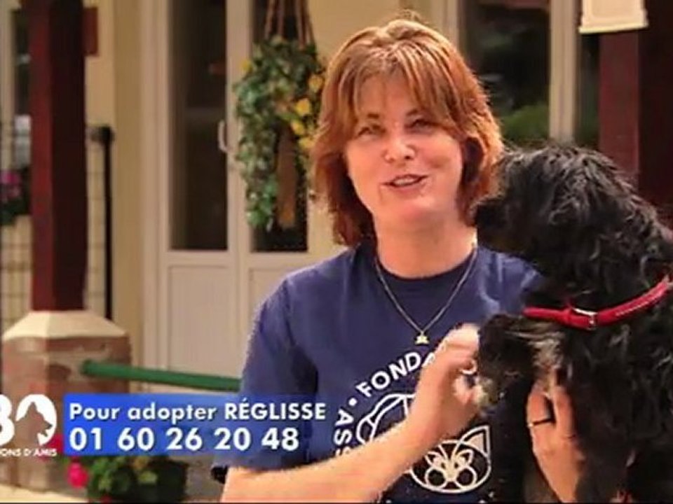 ADOPTION REGLISSE