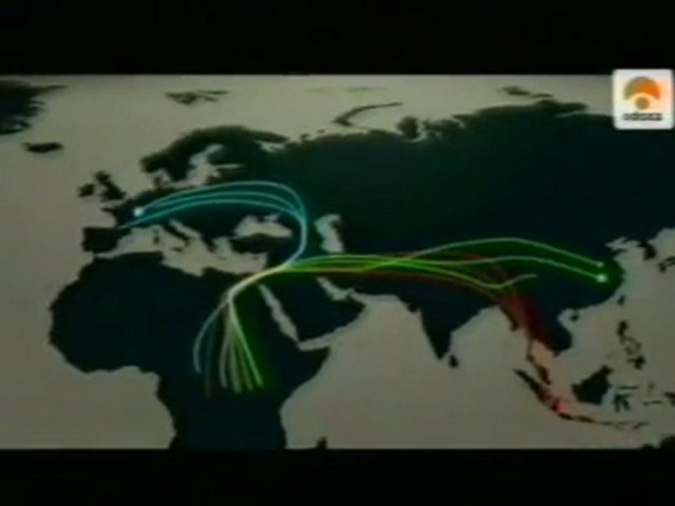Homo sapiens: La extincion Neandertal