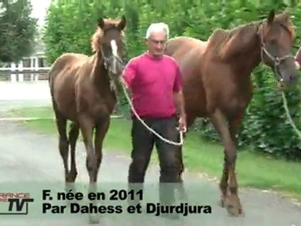 F11_Dahess_Djurdjura