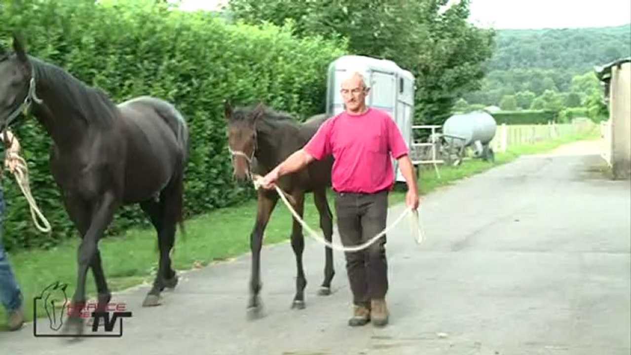 F 2011 par Tomorrow's Cat et La Teignouse.mov.ff