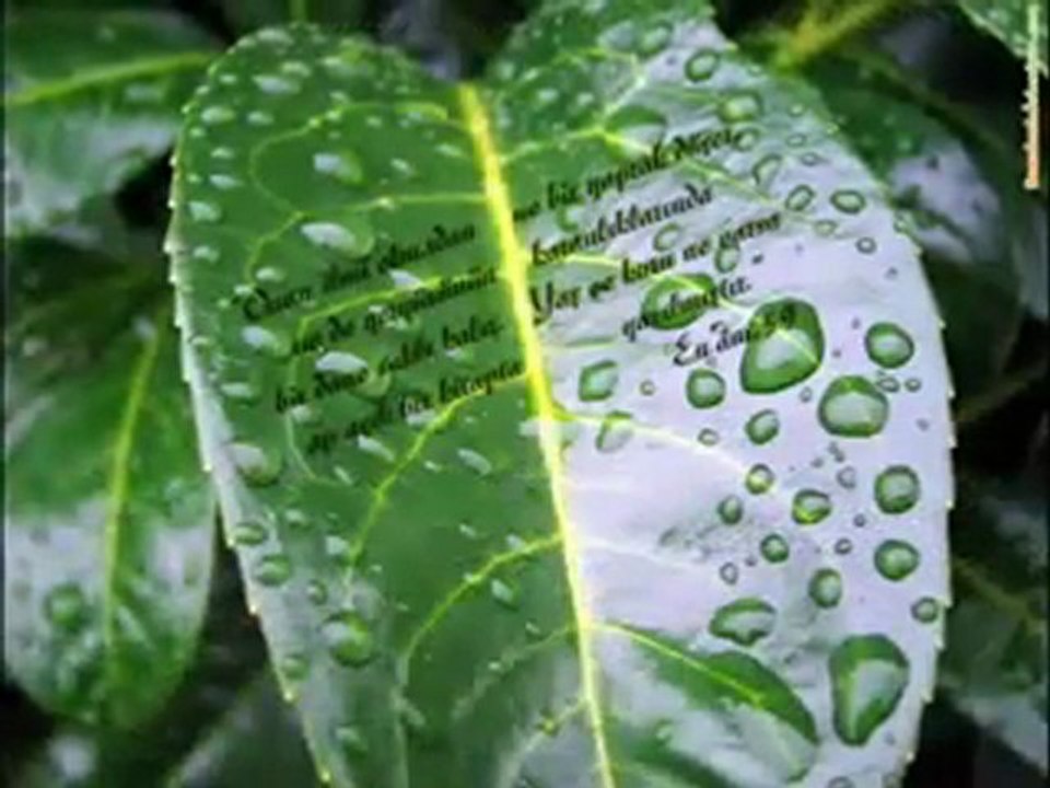 Allahümme salli ala