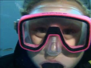 Plongée, attention milieu fragile.