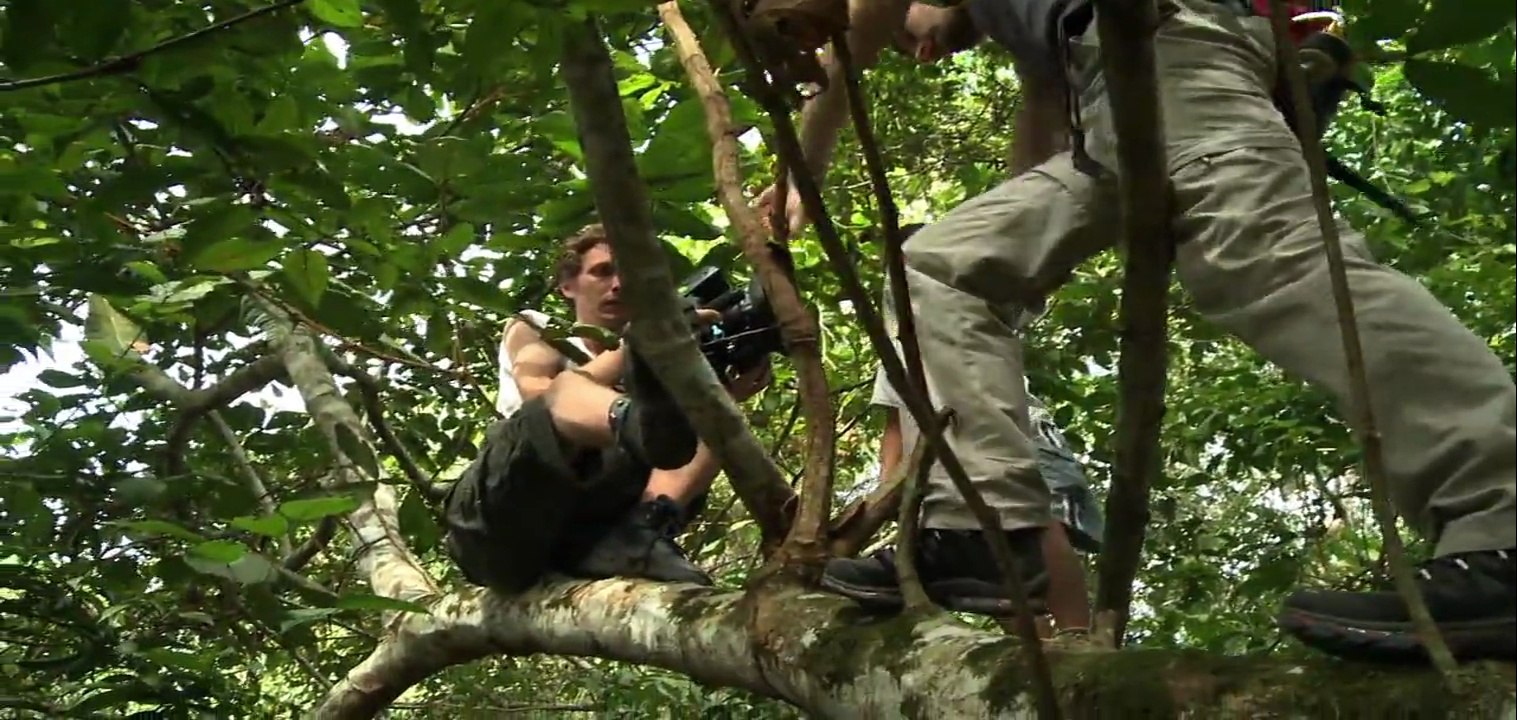 EXTRAIT REEL MERVEILLEUX2