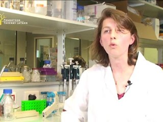 SLA : Séverine Boillée, chercheuse à l'Inserm nous parle de son projet de recherche