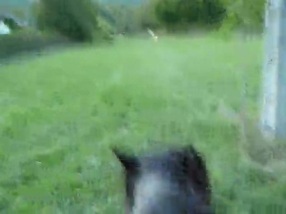 Moment Magique ♥ .
