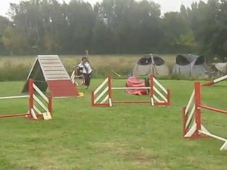 bingo gpf
