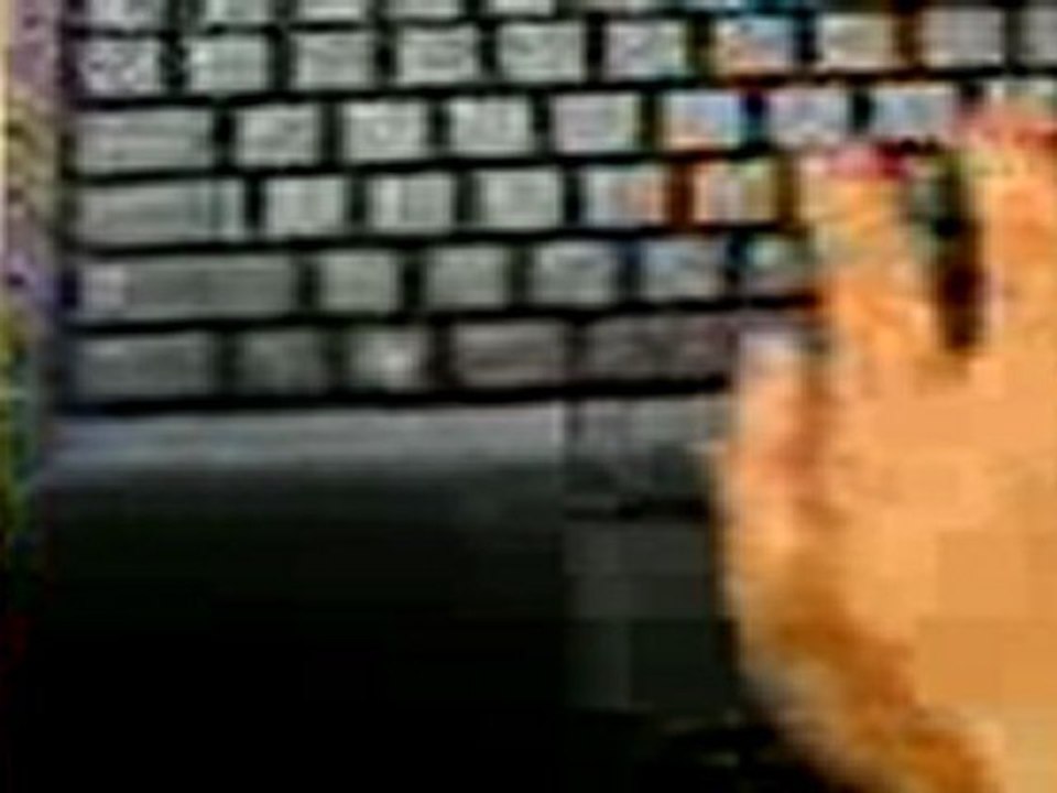 Dell Precision M6400