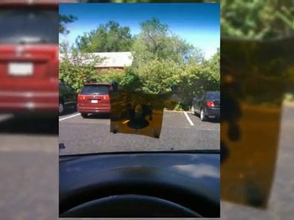 auto glass  replacement 13658