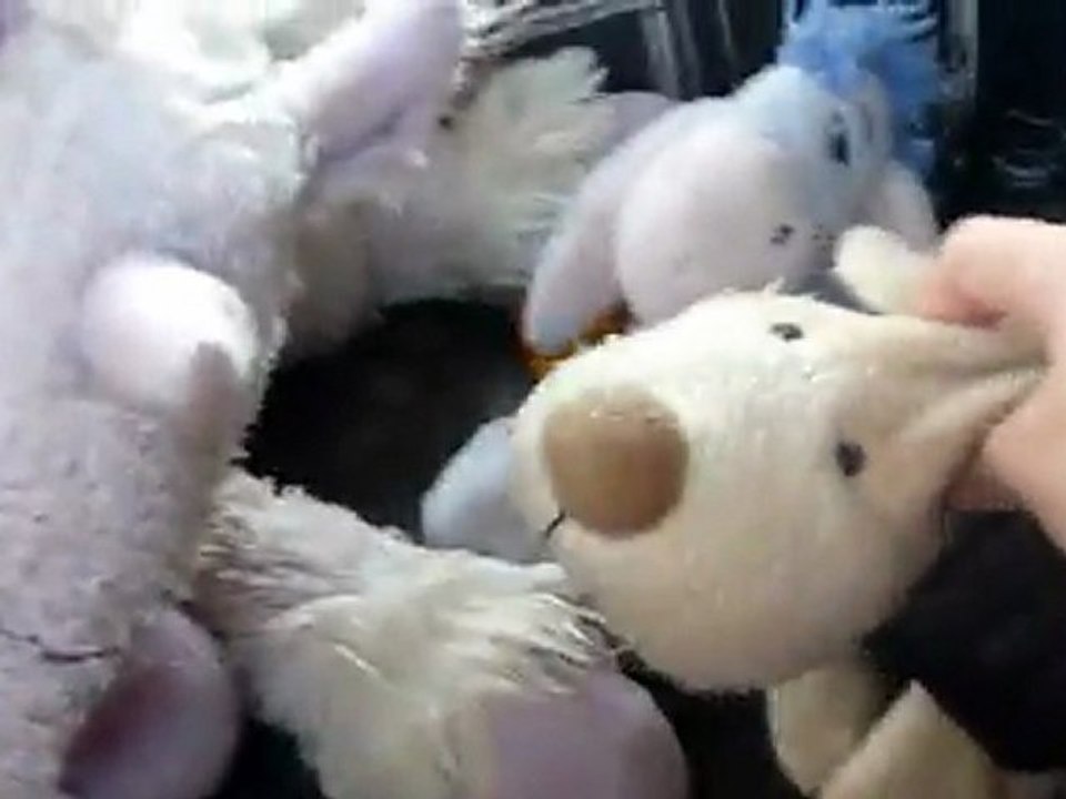 DOUDOU2