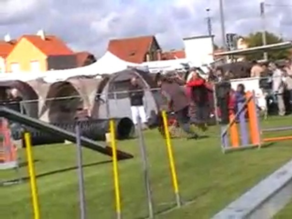 18 09 2011 Saint Dizier - Bambou 2è degré