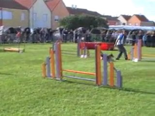 18 09 2011 Saint Dizier - Bambou Jumping +