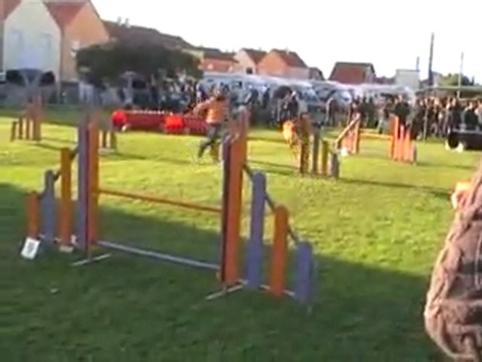 18 09 2011 Saint Dizier - Baya Jumping
