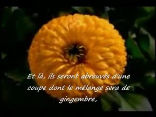 Belle récitation :Sourate Al-Insan - Salman Al-Utaybi