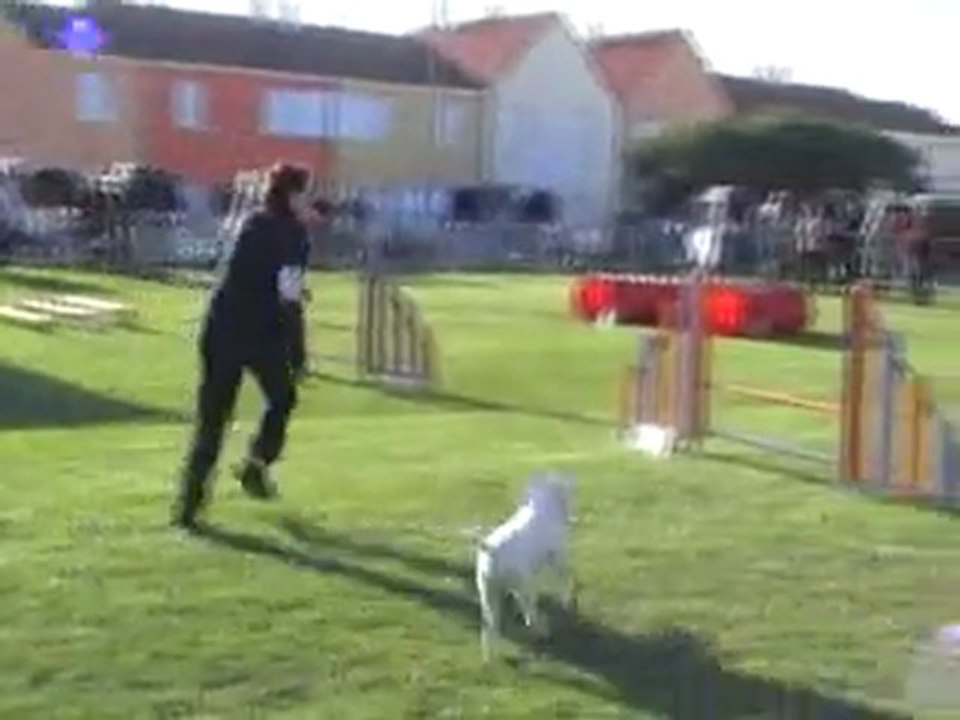 18 09 2011 Saint Dizier - Donnie Jumping