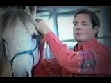 Effective Clicker Horse Training