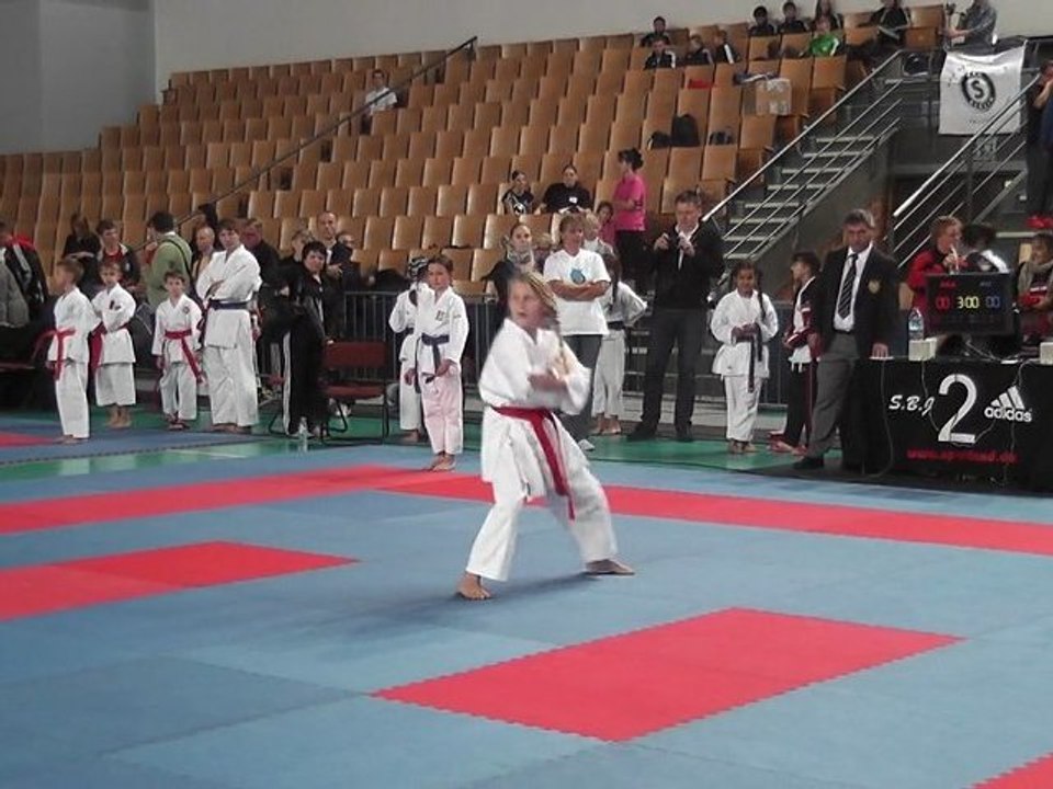 Banzai-Cup Open 2011 / 2