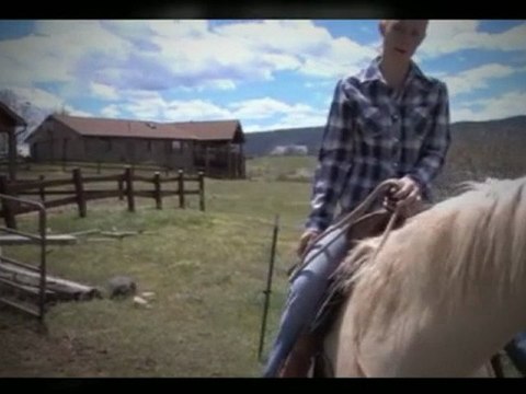 Tips For Horse And Cattle Events