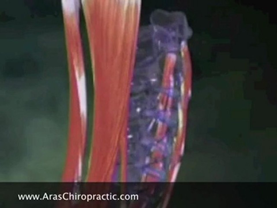 Singapore Chiropractic-Neck Pain