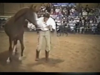 Horse leg wrapping tips