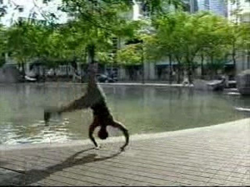 Capoera Fight