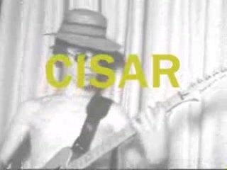 The Success Story: A 24-Minute Laugh 😂