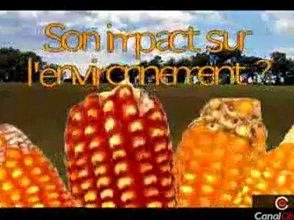 OGM. Christian Velot, maitre de conférences en génétique moléculaire Paris-Sud, pour faire le point sur la grande controverse autour des OGM