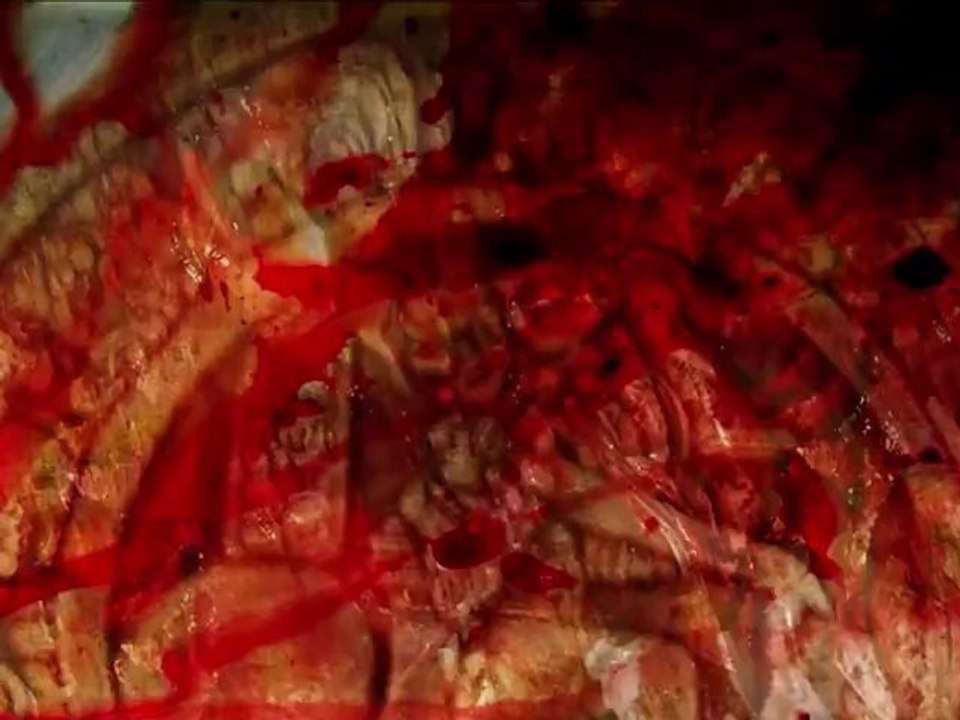 Dark Tranquillity  - "Zero Distance" (2011)