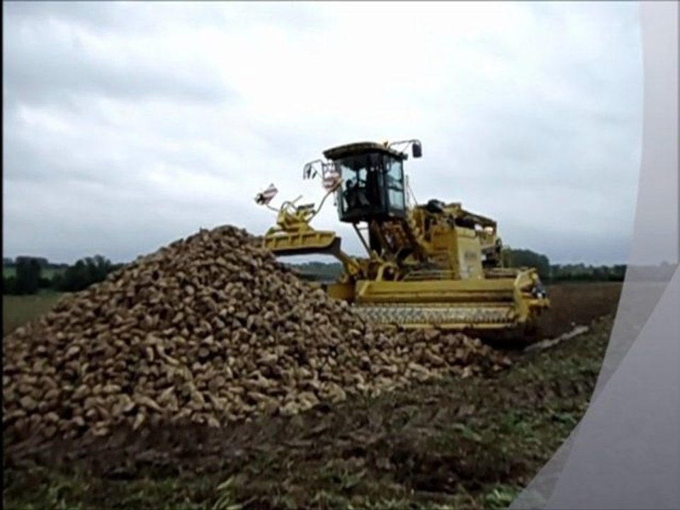 débardage de béteraves avec une ropa