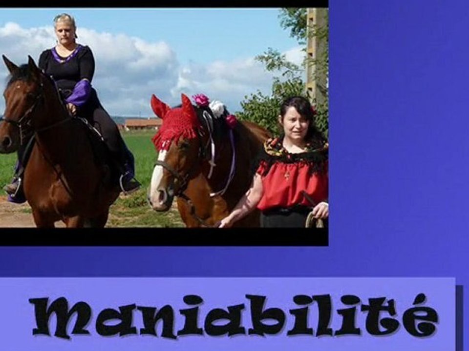 Maniabilité