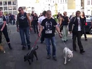 Marche de soutien pour le chien Prince, menacé d'euthanasie, à Boulogne-sur-Mer