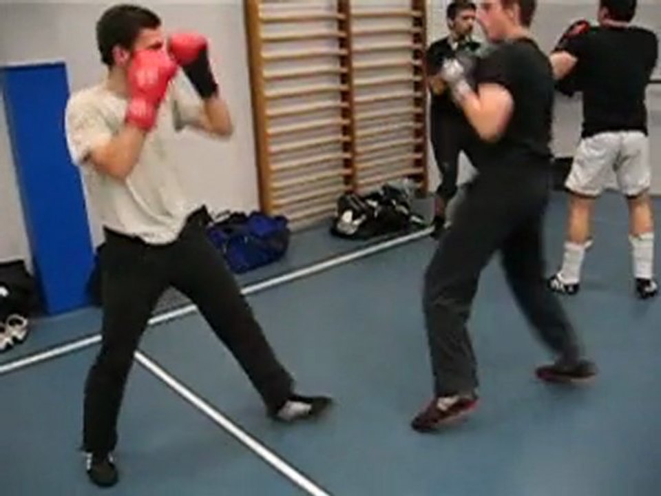 GAUTHIER VS LIONEL