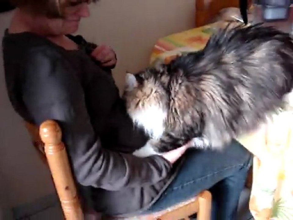 Gribouille et le gilet de Môman