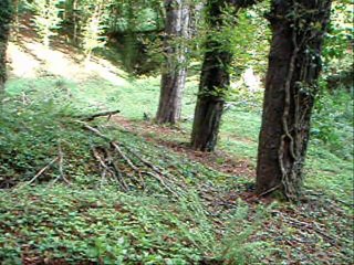 Airsoft septembre 2011