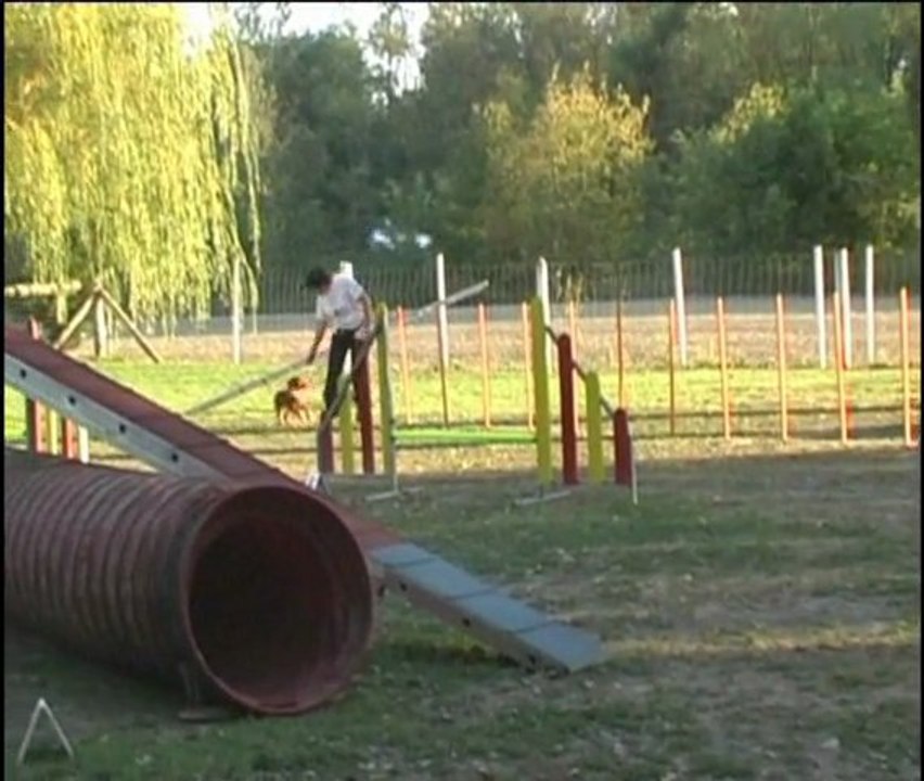 Amicu 23 sept 2011