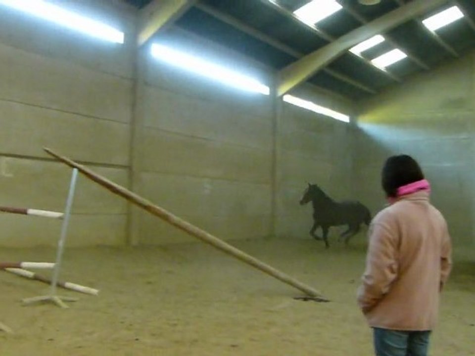 saut vertical bien
