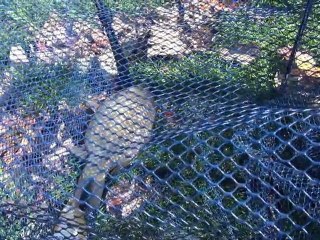 Etang de Fouquiéres 2011-09-24