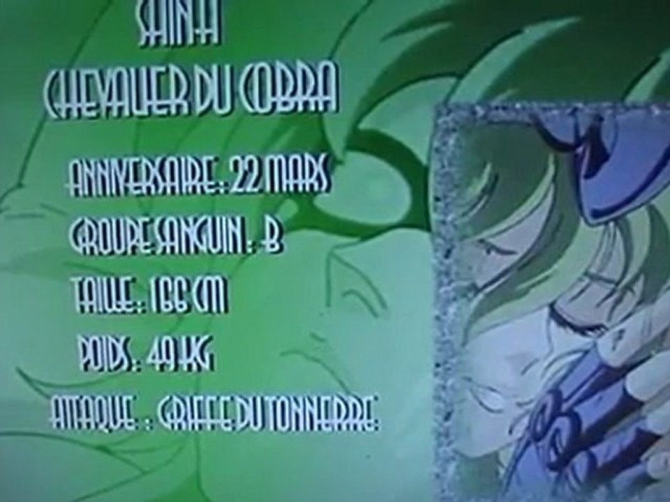 saint seiya fiche perso shina