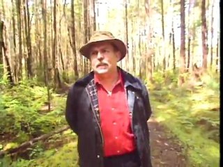 Bill Nye - Dinosaurs