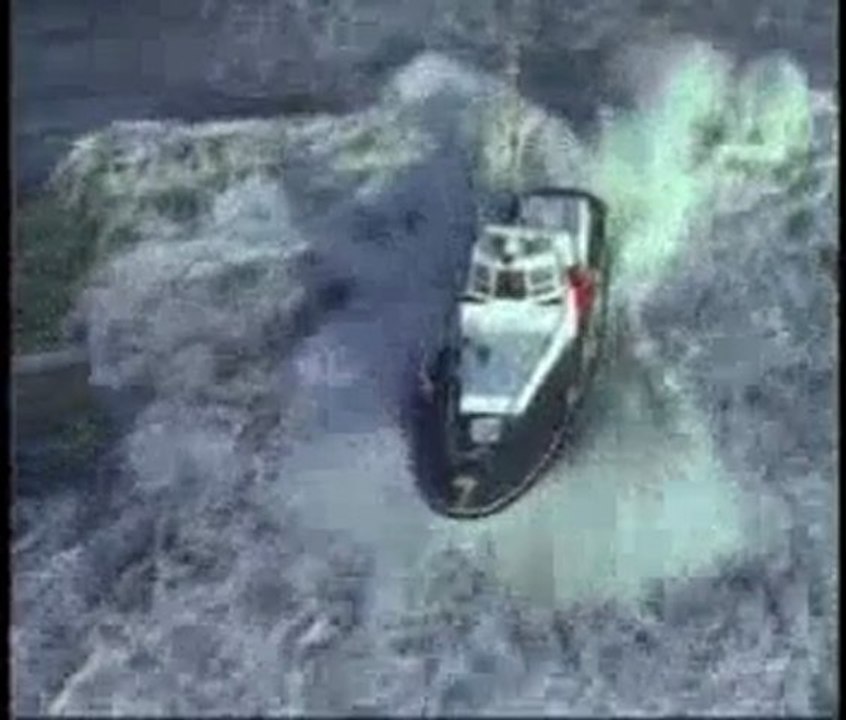 Yunusların gözlerindeki ve derisindeki harika yaratılış