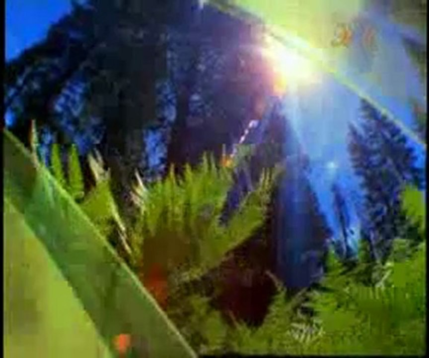 Hz. Mehdi (a.s.)'nin ismi