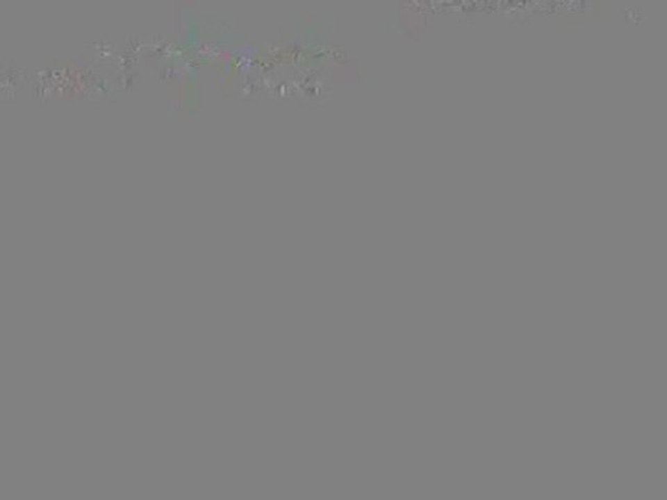 1-What do Michel Martelly and Sophia Martelly have in common?