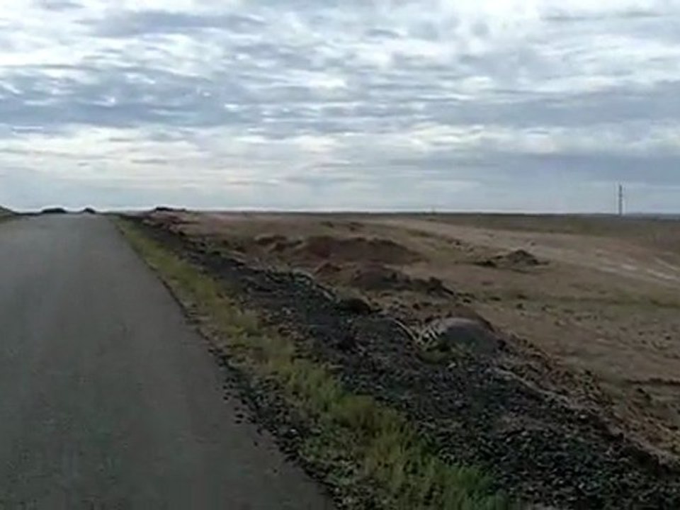 20110816-mongolie-gobi