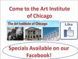 The Art Institute of Chicago- best chicago musuem- for more information call (312) 443-3600