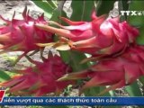 THỜI SỰ 12H 24.09.2011, TTXVN, VNEWS, VNA, TRUYỀN HÌNH THÔNG TẤN, TTXVN