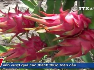 THỜI SỰ 12H 24.09.2011, TTXVN, VNEWS, VNA, TRUYỀN HÌNH THÔNG TẤN, TTXVN