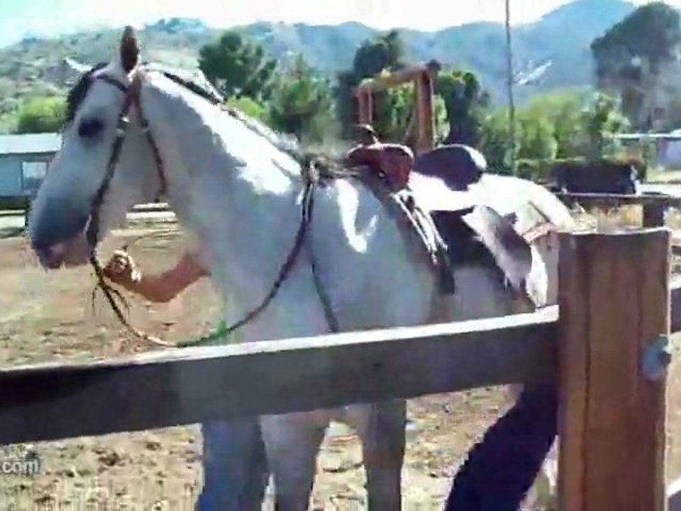 So steigt Mann auf ein Pferd! Fail